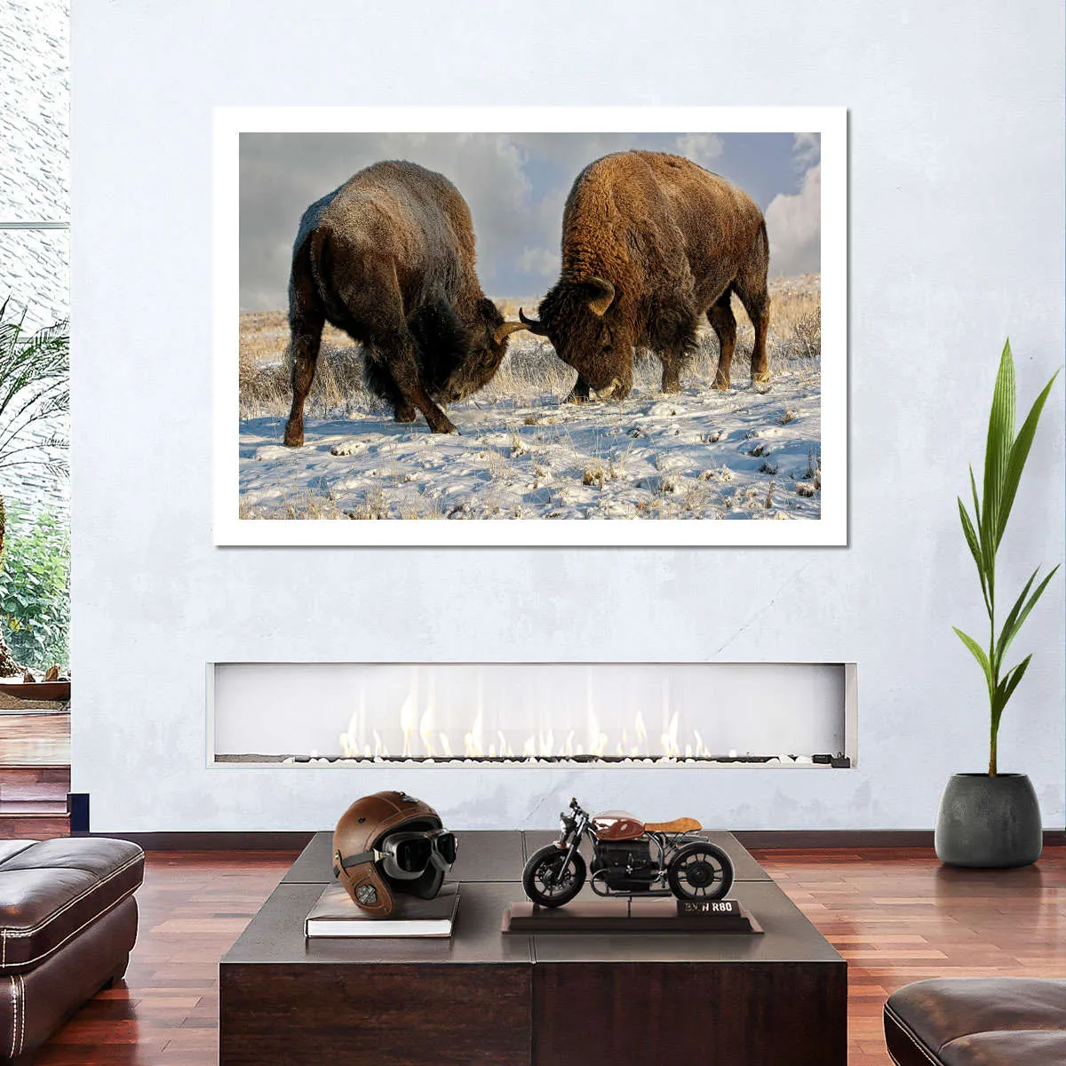 A Fight Between Two Male Bison Wall Art