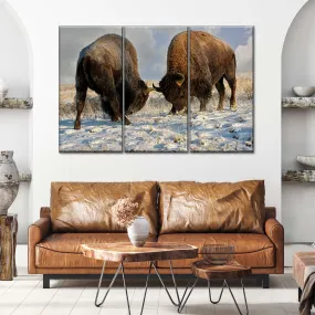 A Fight Between Two Male Bison Wall Art