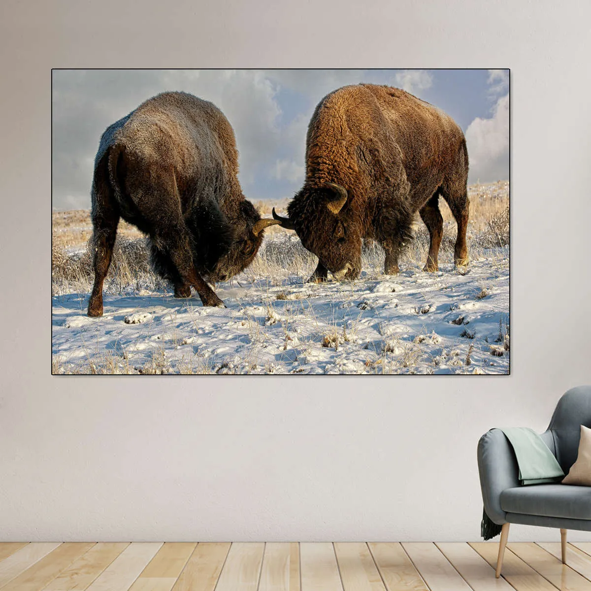 A Fight Between Two Male Bison Wall Art