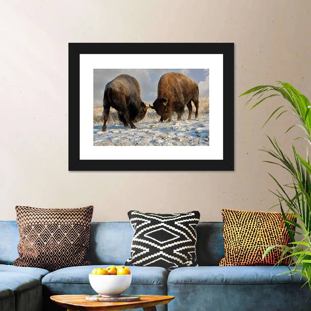 A Fight Between Two Male Bison Wall Art