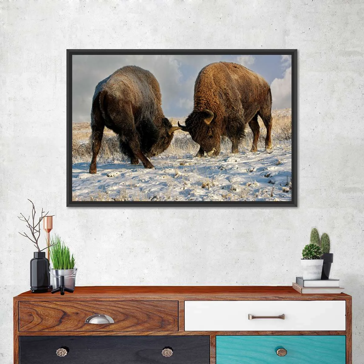 A Fight Between Two Male Bison Wall Art