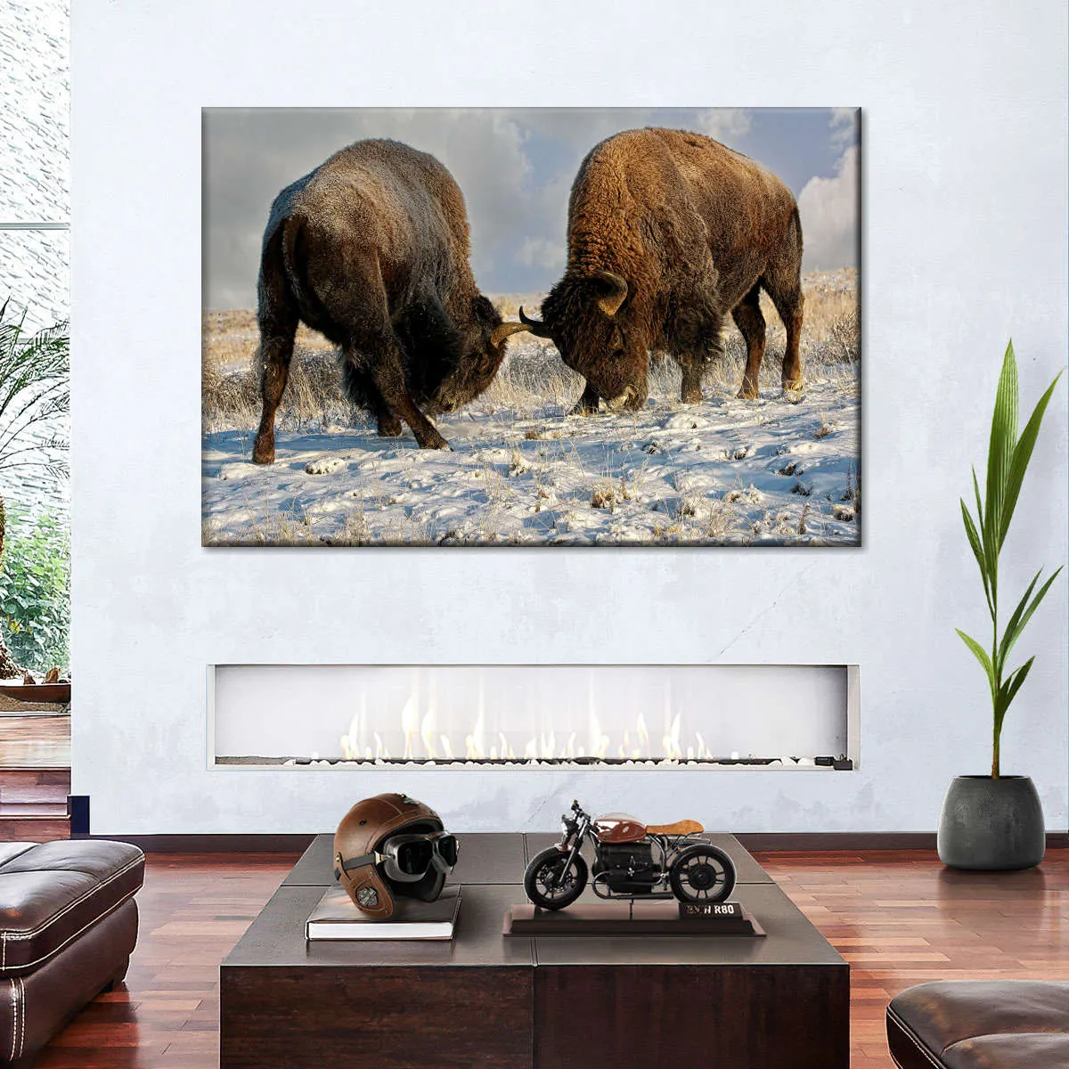 A Fight Between Two Male Bison Wall Art