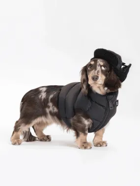 Adjustable Puffer Dog Vest