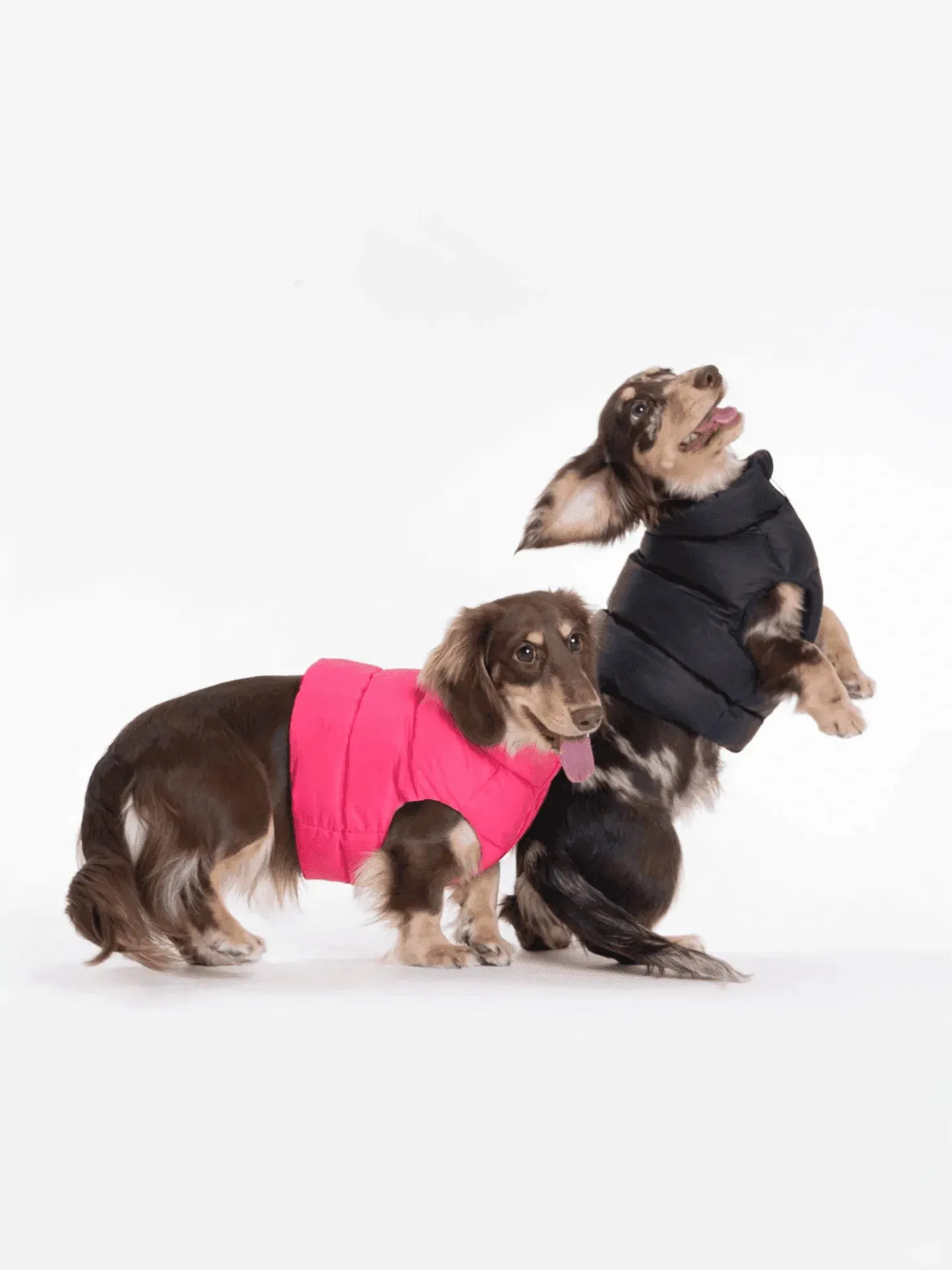 Adjustable Puffer Dog Vest