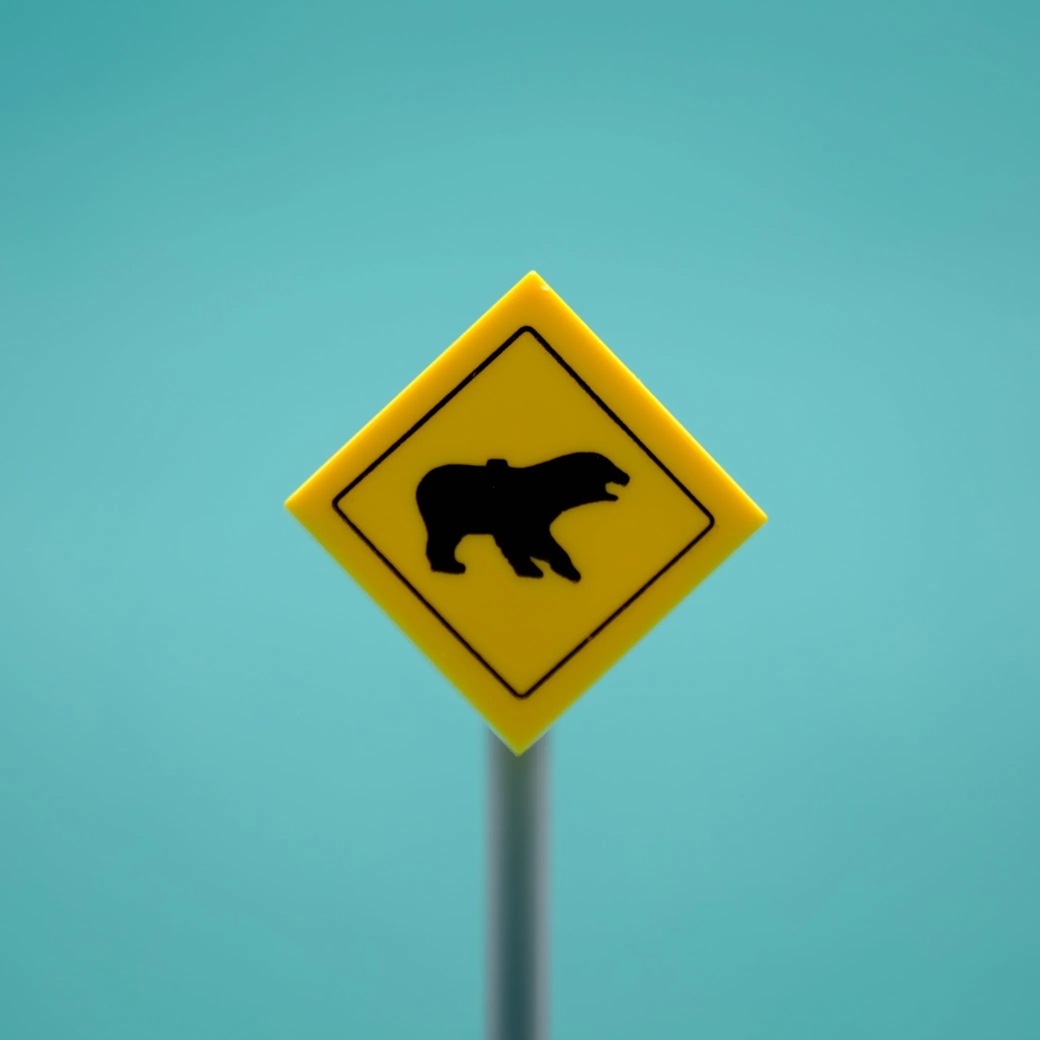 Bear Road Sign