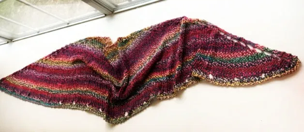 Grapes on the vine shawl 40% off