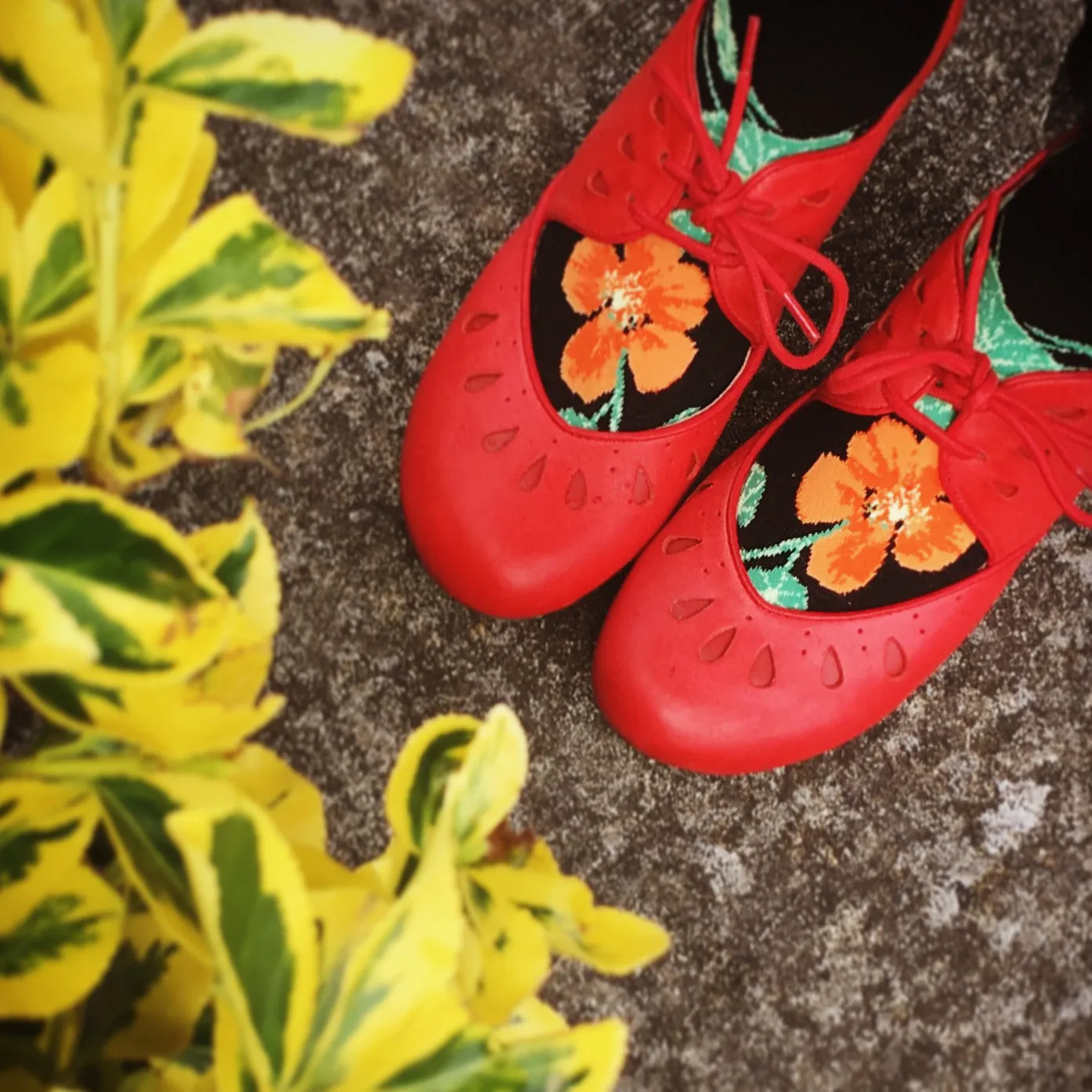 Nasturtiums Roll-Top Knee Socks